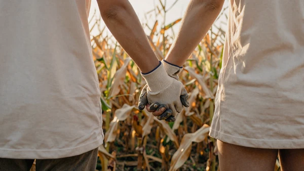 Farming couple holding hands in a sunlit cornfield, how to date a farmer guide