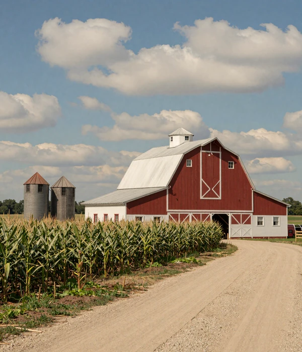 Classic Iowa white farmhouse with red barn and grain bins surrounded by tall corn stalks in the Midwestern heartland countryside